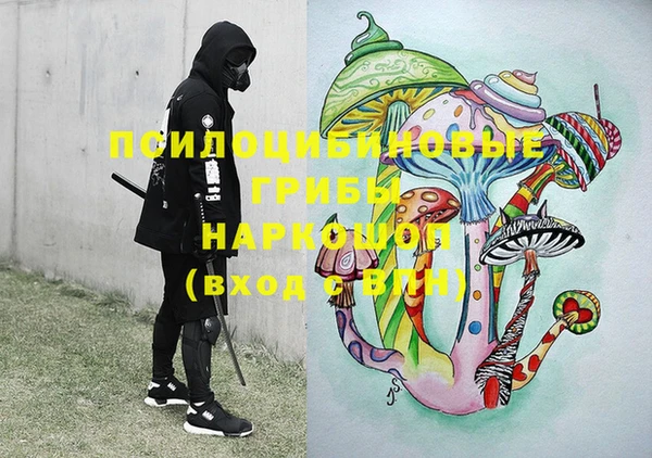 не бодяженный Горно-Алтайск