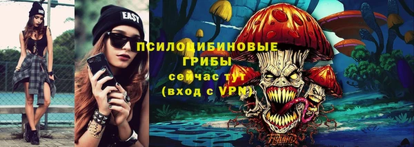 СК Вяземский