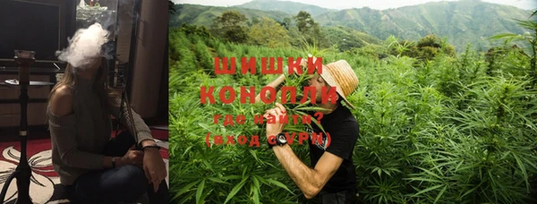 не бодяженный Горно-Алтайск
